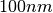 100 nm
